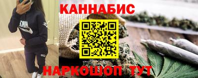 сатива Новодвинск