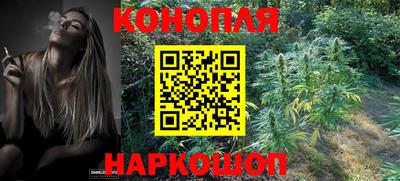 сатива Новодвинск