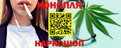 сатива Новодвинск