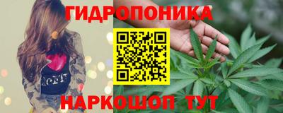 PSILOCYBIN Новокубанск