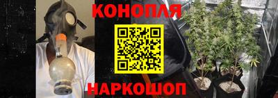 PSILOCYBIN Новокубанск