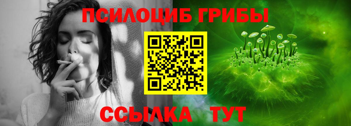 Галлюциногенные грибы GOLDEN TEACHER  Вход с VPN  Галлюциногенные грибы Psilocybine cubensis  Рузаевка 